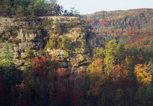 Red River Gorge in Fall